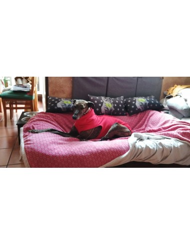 Forro polar para piccolo color rosa Forro polar para piccolo color rosa