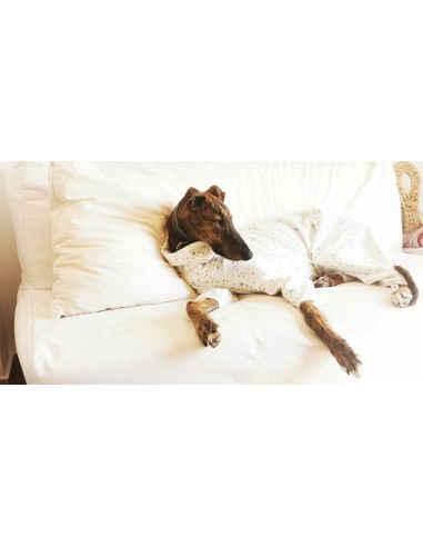 Pijama para perro de felpa verde...