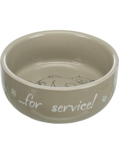 comedero ceramico para gatos
