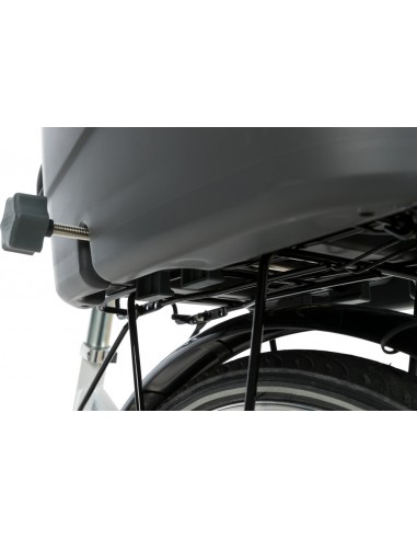 Cesta trasera para llevar perro en bicicleta