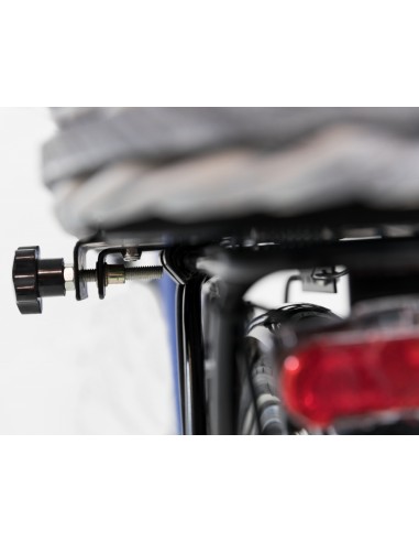 Cesta mimbre para llevar perro en bicicleta