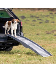 Rampa plegable de acceso a coche