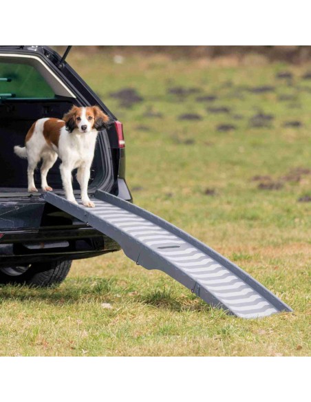 Rampa plegable de acceso a coche