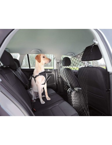 red protectora coche perro