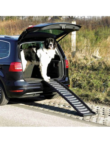 Rampa plegable de acceso a coche