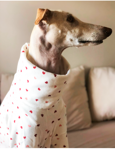 Pijama para galgo modelo corazones