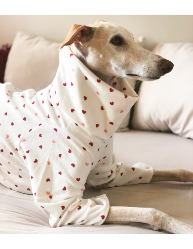Pijama para galgo modelo corazones Pijama para galgo modelo corazones