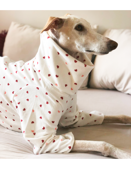 Pijama para galgo modelo corazones Pijama para galgo modelo corazones