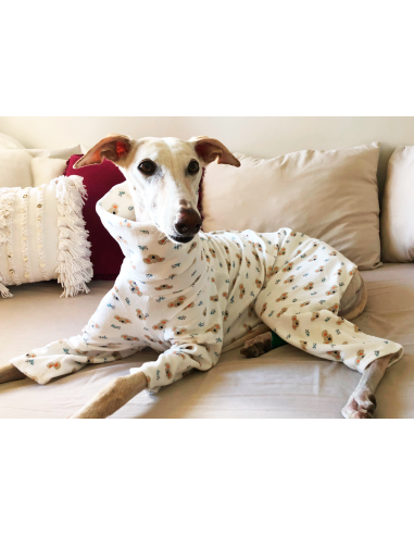 Pijama para galgo modelo koalas