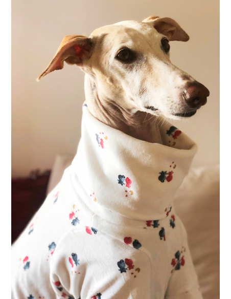 Pijama para galgo modelo gatos