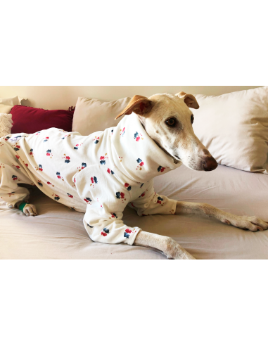 Pijama para galgo modelo gatos