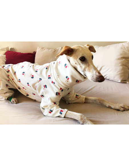 Pijama para galgo modelo gatos
