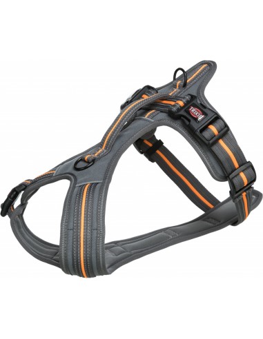 arnes perro fusion confort