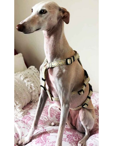 Arnes antiescape especial para galgos