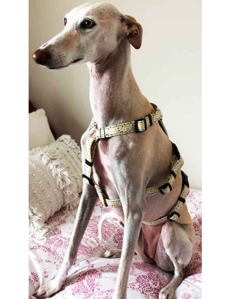 Arnes antiescape especial para galgos