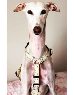 Arnes antiescape especial para galgos