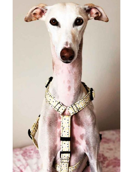 Arnes antiescape especial para galgos