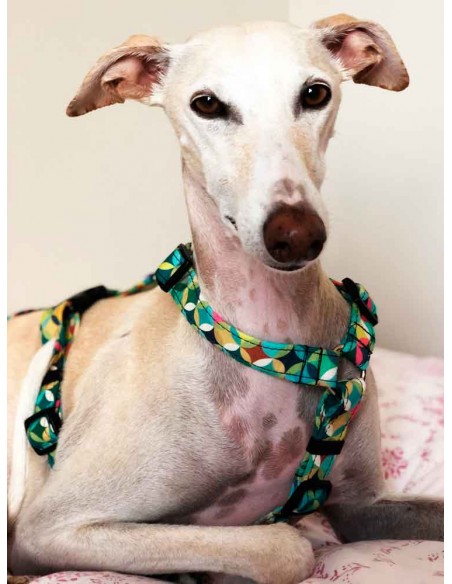 Arnes antiescape especial para galgos