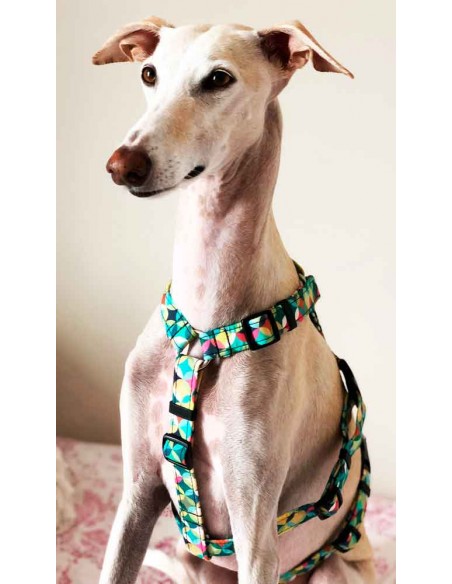 Arnes antiescape especial para galgos