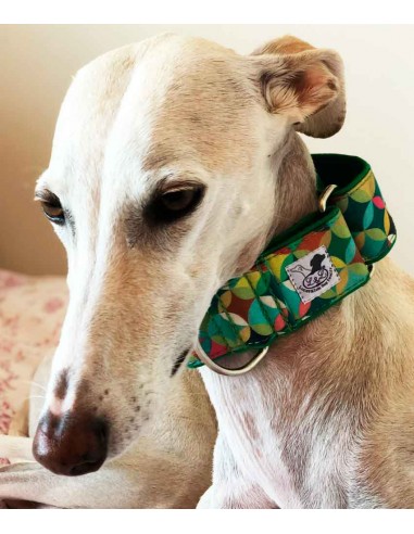 collar galgo tela de algodon
