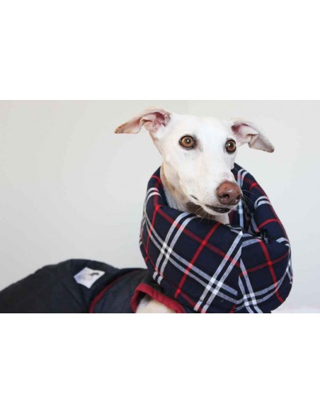 abrigo Impermeable acolchado galgo color azul marino