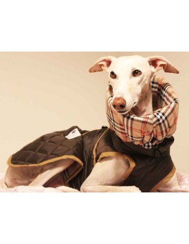 abrigo impermeable acolchado galgo color marron chocolate
