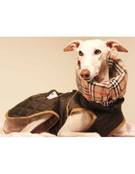 abrigo impermeable acolchado galgo color marron chocolate abrigo impermeable acolchado galgo color marron chocolate