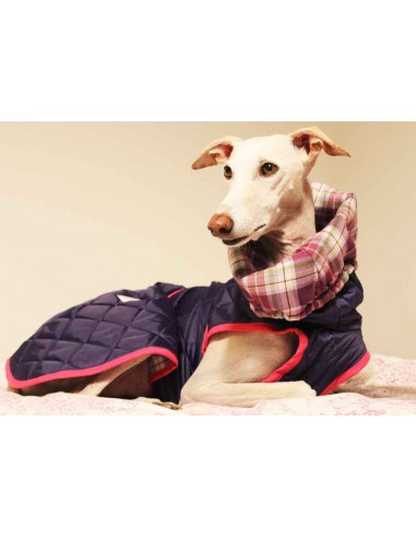 abrigo impermeable acolchado galgo color morado