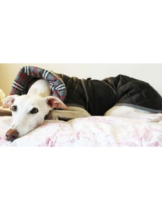 abrigo impermeable acolchado galgo color negro