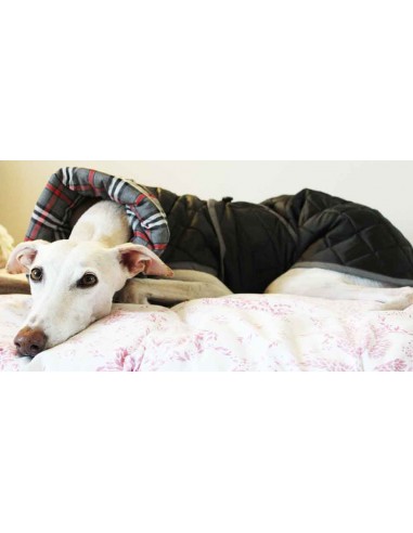 abrigo impermeable acolchado galgo color negro