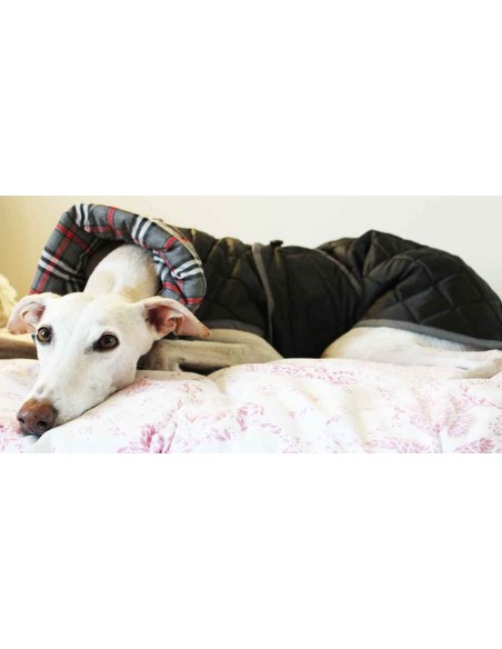 abrigo impermeable acolchado galgo color negro abrigo impermeable acolchado galgo color negro