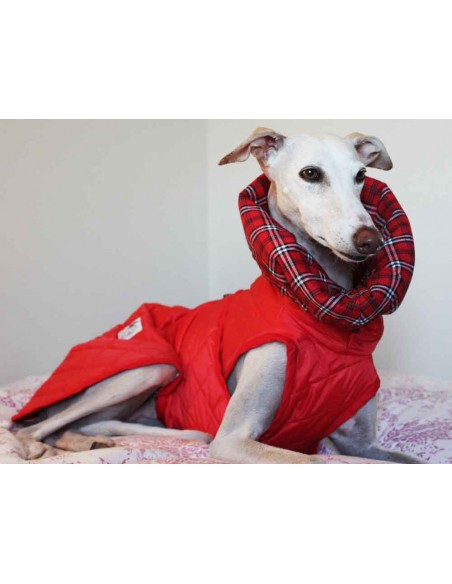 abrigo impermeable acolchado galgo color rojo