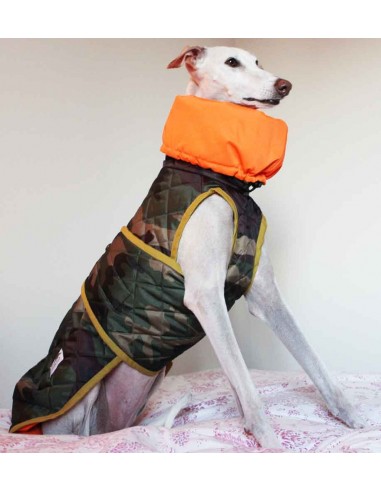 Abrigo impermeable acolchado para galgo de camuflaje