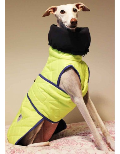 Abrigo impermeable acolchado para galgo alta visibilidad