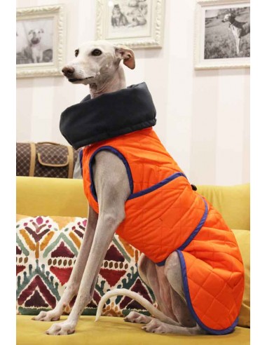 Abrigo impermeable acolchado para galgo alta visibilidad naranja