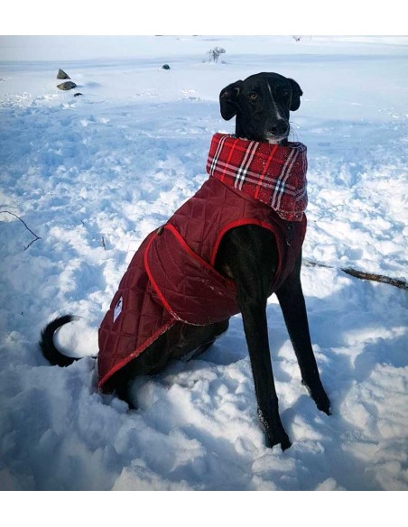 abrigo impermeable acolchado galgo color granate