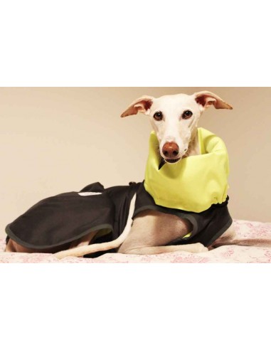 Abrigo impermeable gris con forro polar interior para galgo