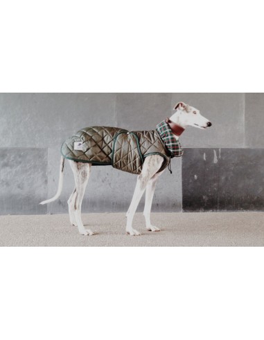 abrigo impermeable acolchado galgo color verde