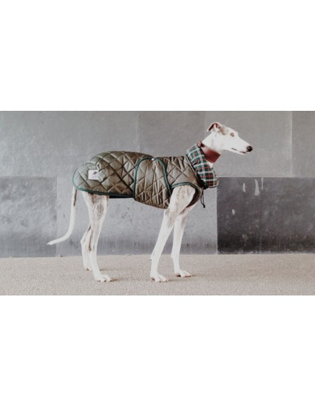 abrigo impermeable acolchado galgo color verde abrigo impermeable acolchado galgo color verde