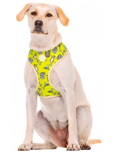Arnés para perros DUKIER modelo cocktail