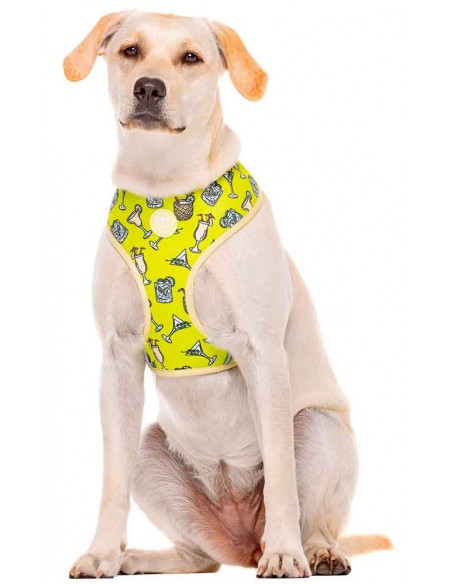 Arnés para perros DUKIER modelo cocktail