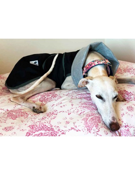 Impermeable negro con forro algodon para galgo