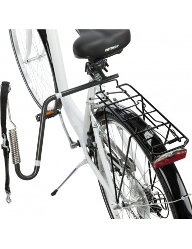 Set para pasear en bici con su perro