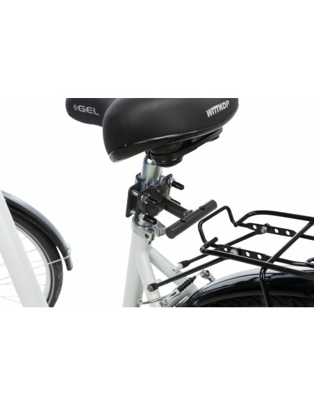 Set para pasear en bici con su perro