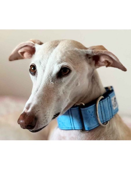 collar galgo tela de algodon