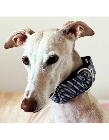 collar galgo tela de algodon