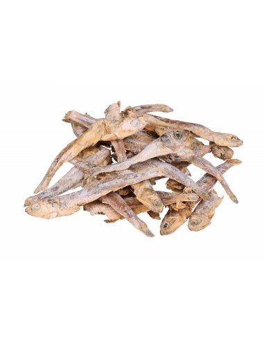 anchoas secas para gato