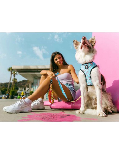 Arnes para perros DUKIER modelo chuches