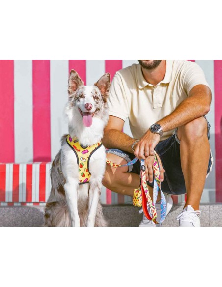 Arnes para perros DUKIER modelo chuches