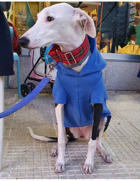 Sudadera para galgo color azul